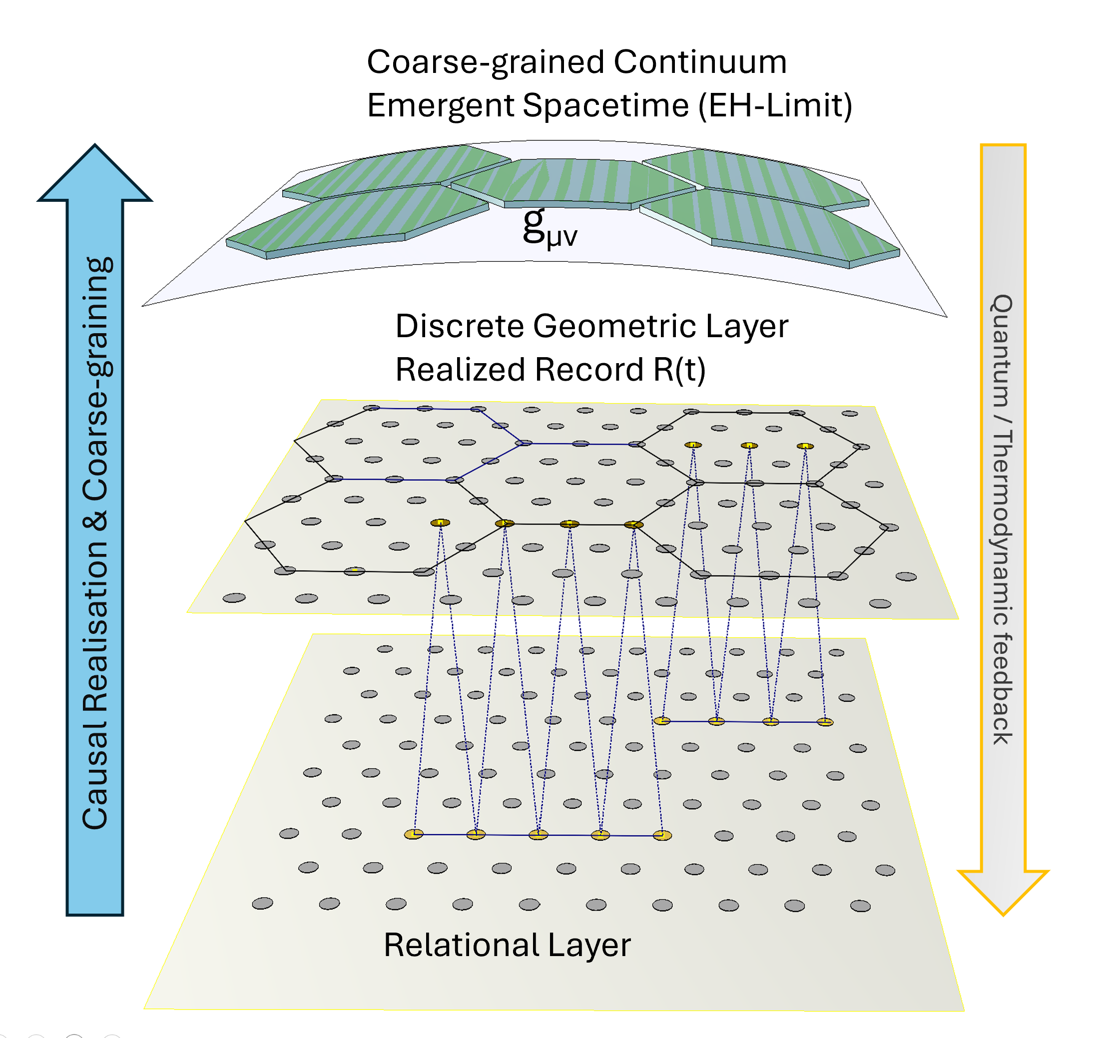 Illustration of the three-layer structure in DGO